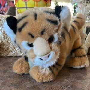 Smithsonian National Zoological Park Bengal Tiger